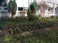 images/CDKL5-Gall/IMG-20171118-WA0026.jpg