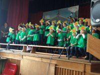 images/Galleries/1916-Show/IMG_3334.png