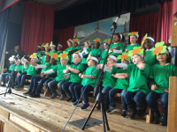 images/Galleries/1916-Show/IMG_3352.png