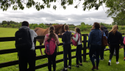images/Galleries/National-Stud/20170612_132504.png